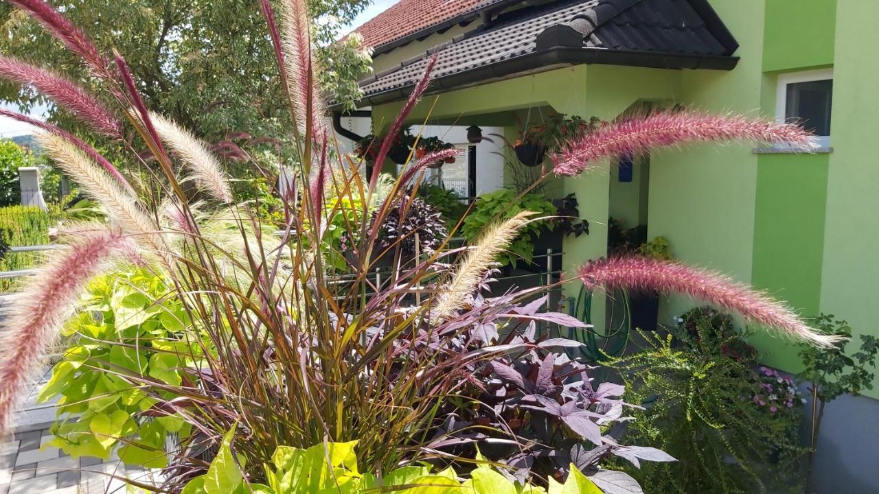Studio Apartman Grizzly Slunj Exterior foto