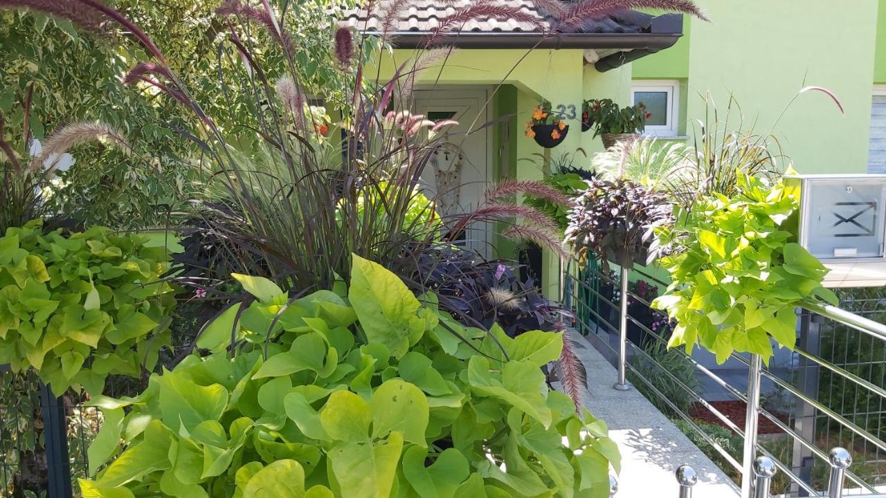 Studio Apartman Grizzly Slunj Exterior foto